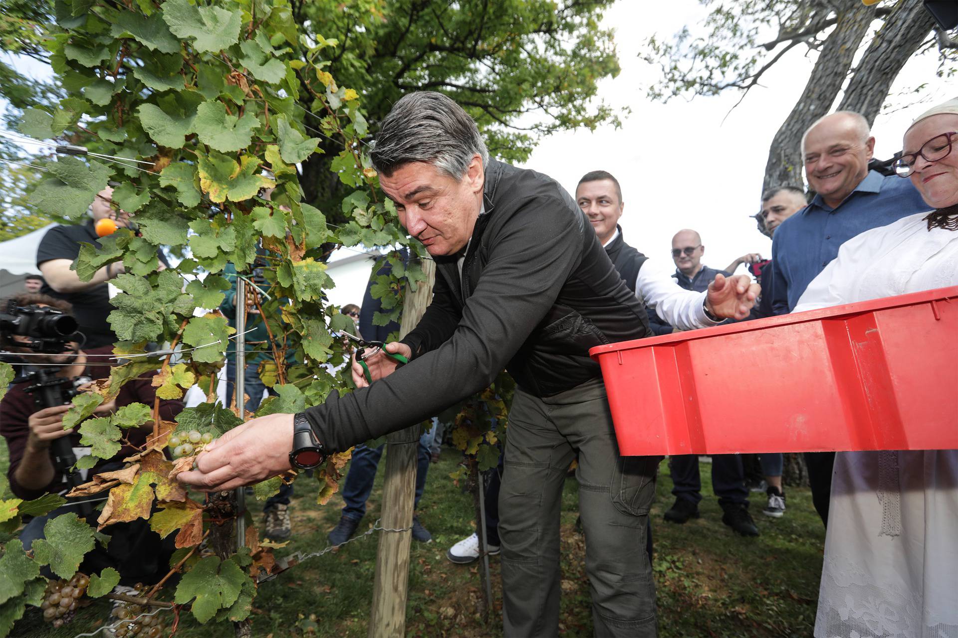 Borba za odabir aviona i na berbi grožđa u Jaski: 'Lobiranje' sa zaštitnim maskama na licima