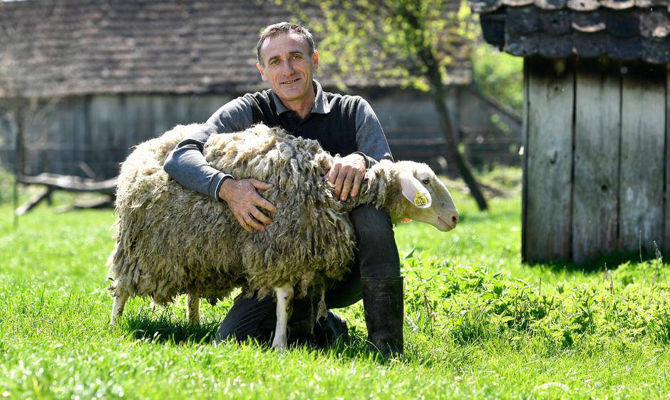 Valter želi zgodnu i mršavu, a Hakija bi mlađu i svoje visine...