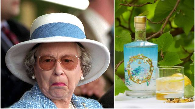 Stigla kriza: Kraljica prodaje gin sa sastojcima iz vrta za 330 kn