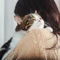 Zdrava prehrana za mačke: Saznajte kako pružiti pravilnu nutritivnu potporu
