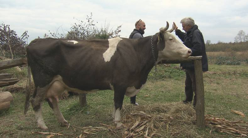 Damiru je više dosta Darka: 'Ponižava me cijelo vrijeme!'