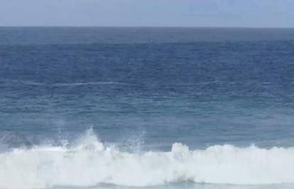 U Australiji snimili bijelog kita! Svi se pitaju: Je li to Migaloo?