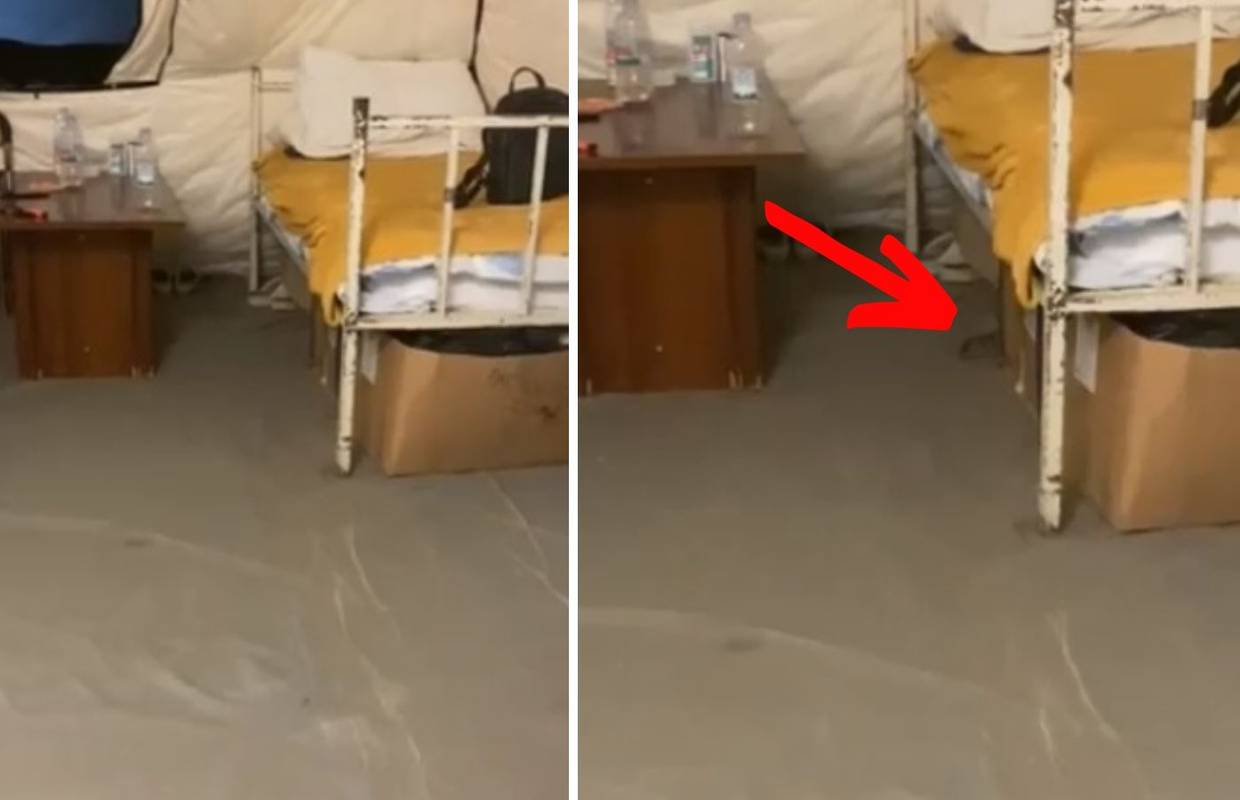 VIDEO Užas u šatorima sisačke bolnice: Nema zraka ni vode, a među pacijentima šetaju štakori