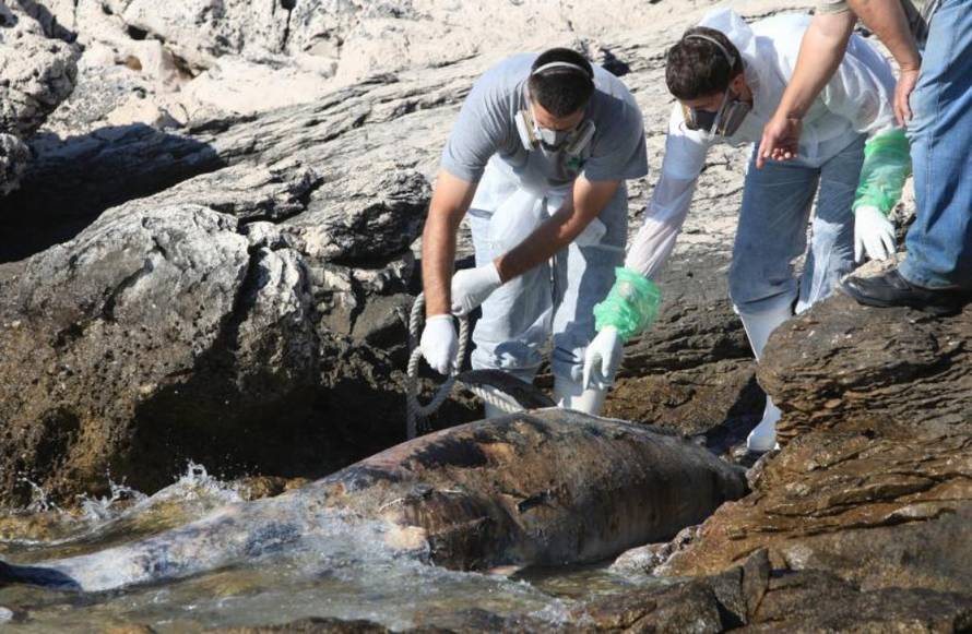 Duško Jaramaz/PIXSELL