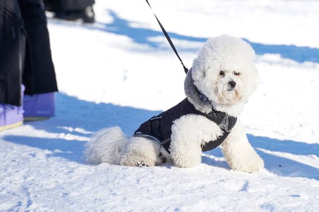 Zagreb: Otvorena sezona skijanja na Sljemenu