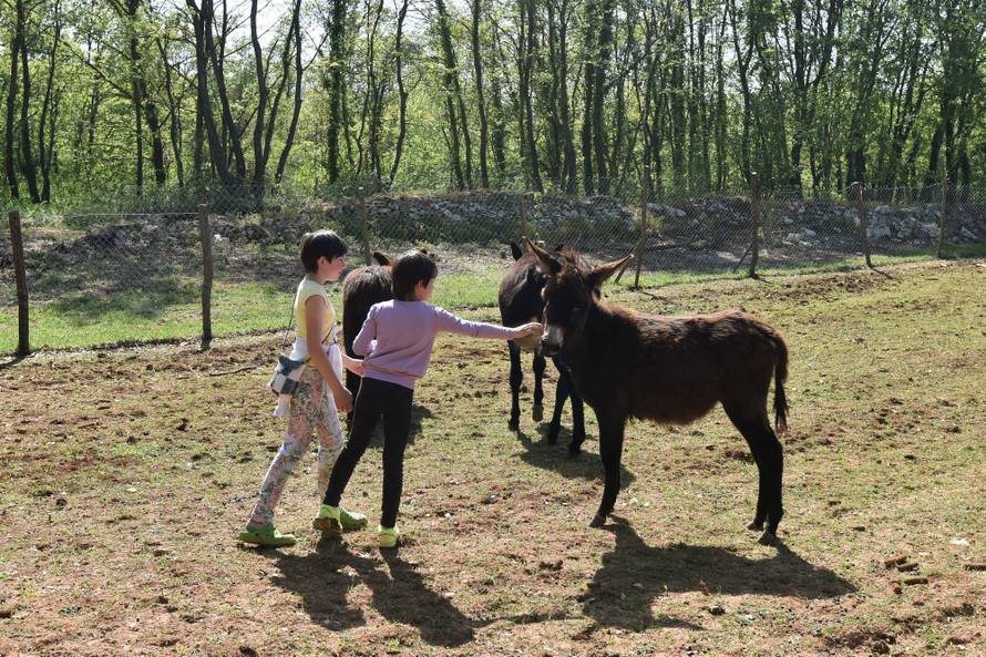 Tate od formata: 'Ručak za nas sedmero kuham od 10 ujutro'