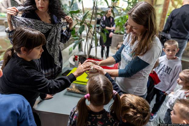 Osijek: Obilježavanje svijetskog dana gmazova u Zoološkom vrtu