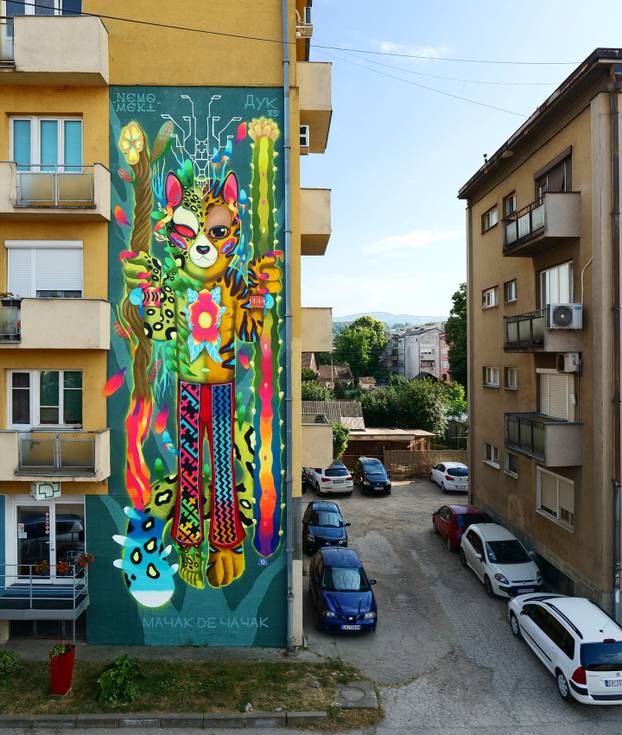 FOTO Grad pretvoren u galeriju: Pogledajte predivne murale na kućama i zgradama u Čačku