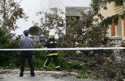 Zagreb: Stablo palo na vod struje i oštetilo dva auta