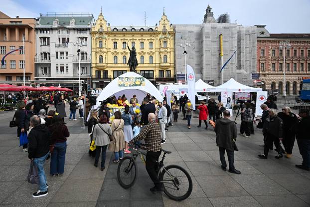 Zagreb: Obilježavanje jubilarnog 30. Dana narcisa