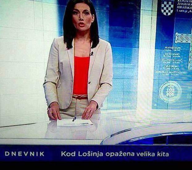 Opažena velika kita kod Lošinja