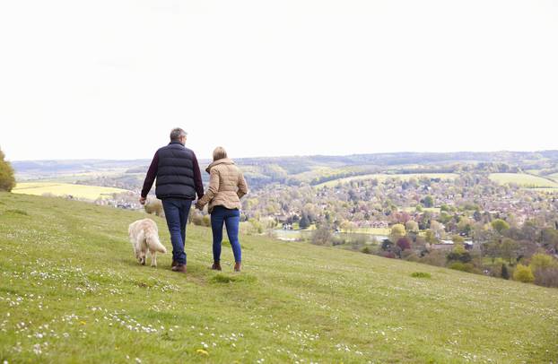 Rear View Of Mature Couple Taking Golden Retriever For Walk