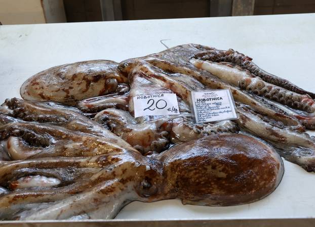 Šibenik: Ponuda ribe i ostalih morskih delicija