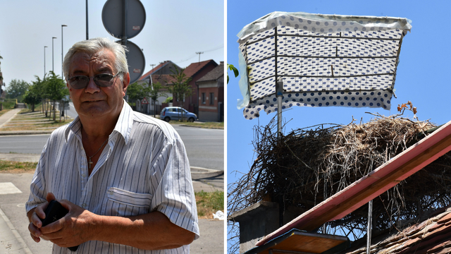 Kraj najljepše ljubavne priče, o rodama Malenoj i Klepetanu: Ostalo je samo prazno gnijezdo