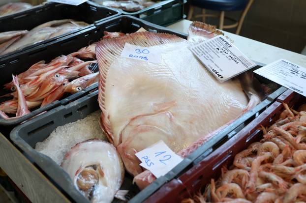 Šibenik: Ponuda ribe i ostalih morskih delicija