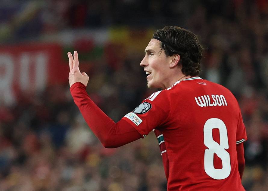 FIFA World Cup - UEFA Qualifiers - Semi Final - Wales v Bosnia and Herzegovina