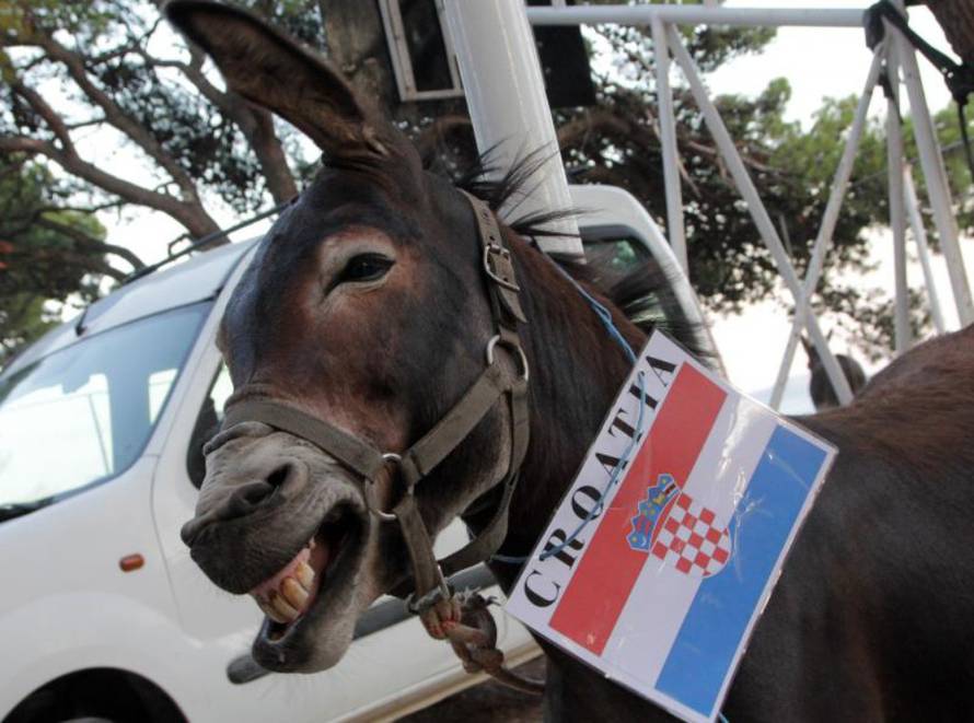 Duško Jaramaz/Pixell