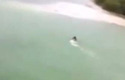 Kupač bježao prema obali: Za njim je plivao golemi krokodil