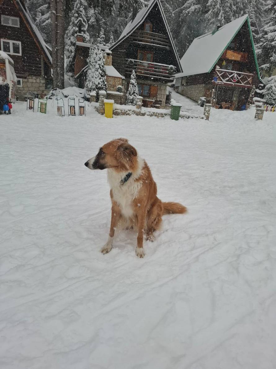 Općinska komunalka sama 'izlopatala' snijeg sa staze: 'Nema nikakve drame u tome'