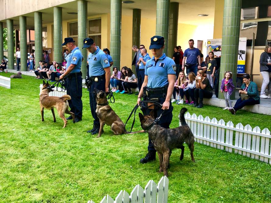 Na jednom mjestu najljepše i najpametnije pasmine pasa