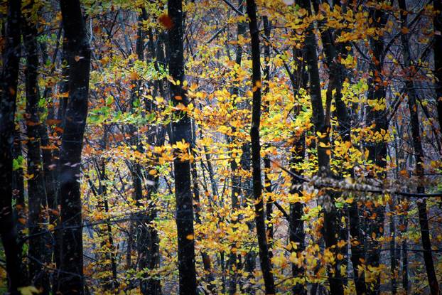 Vodice: Jesenja mističnost Ćićarije