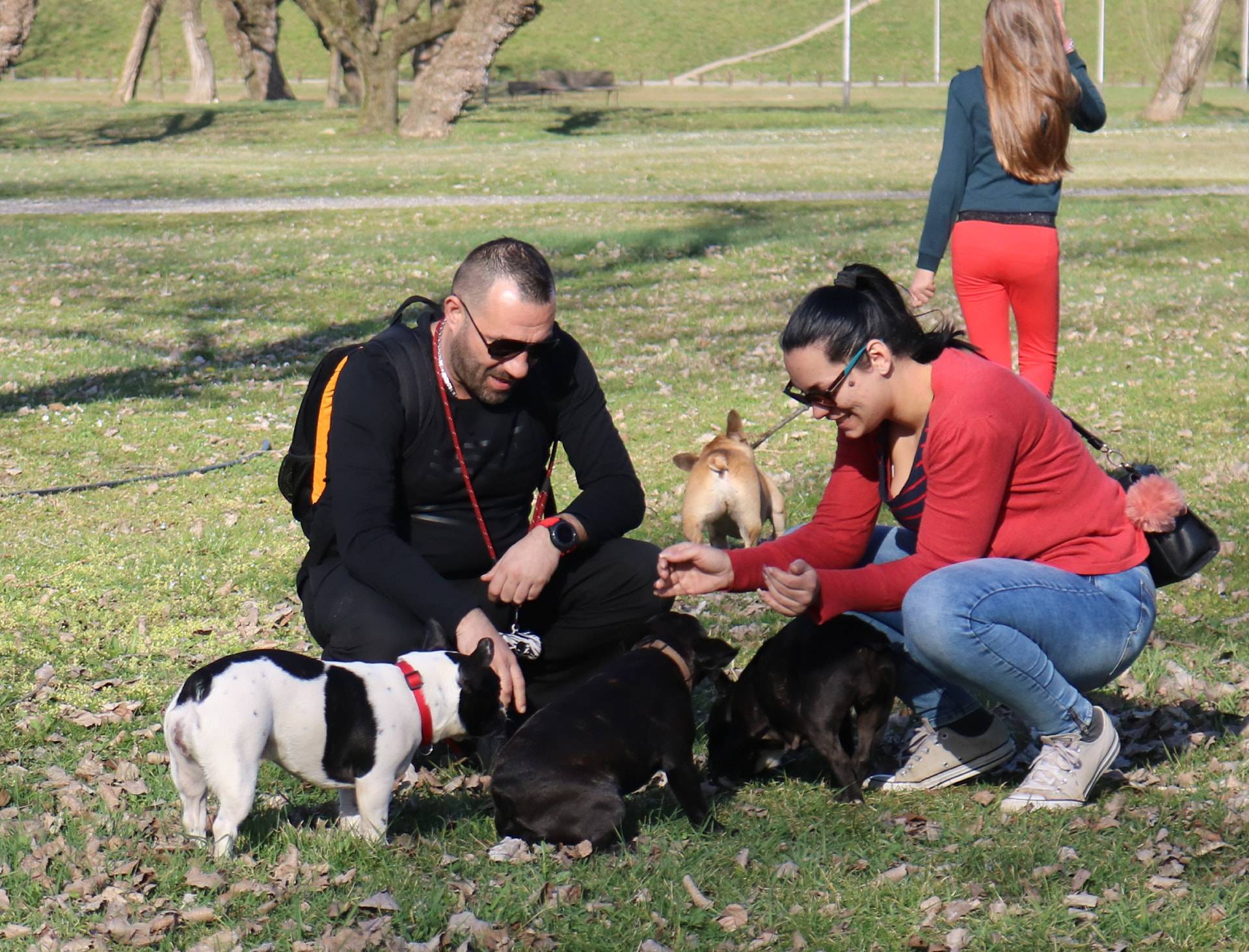 Buldozi će okupirati Hrvatsku: Dođite na proljetnu buldogijadu