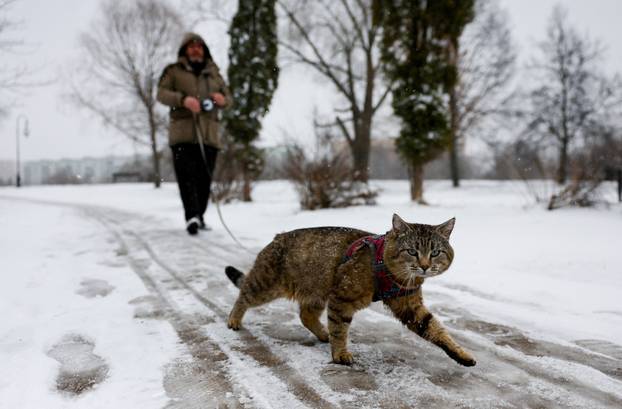 Blizzards blanket Moscow in snow after unusually mild winter