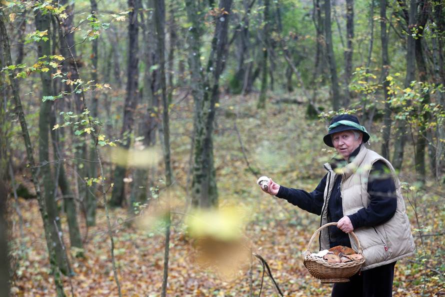 'Gljive mogu biti kobne. Spasila sam već najmanje 40 života... '