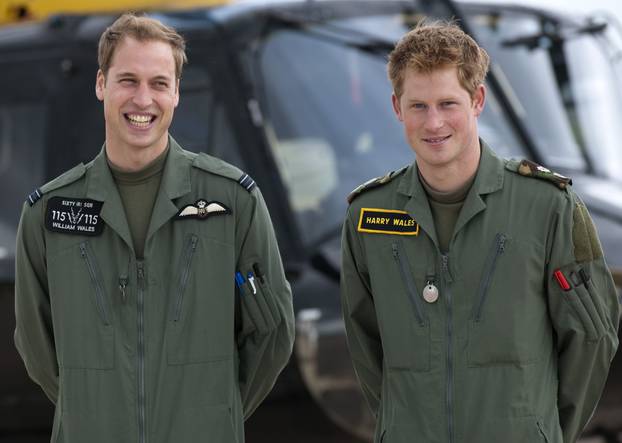 Princes William and Harry RAF photocall