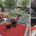VIDEO Nevrijeme poharalo  i Srbiju: Jak vjetar čupa drveće i krovove, voda prijeti kućama