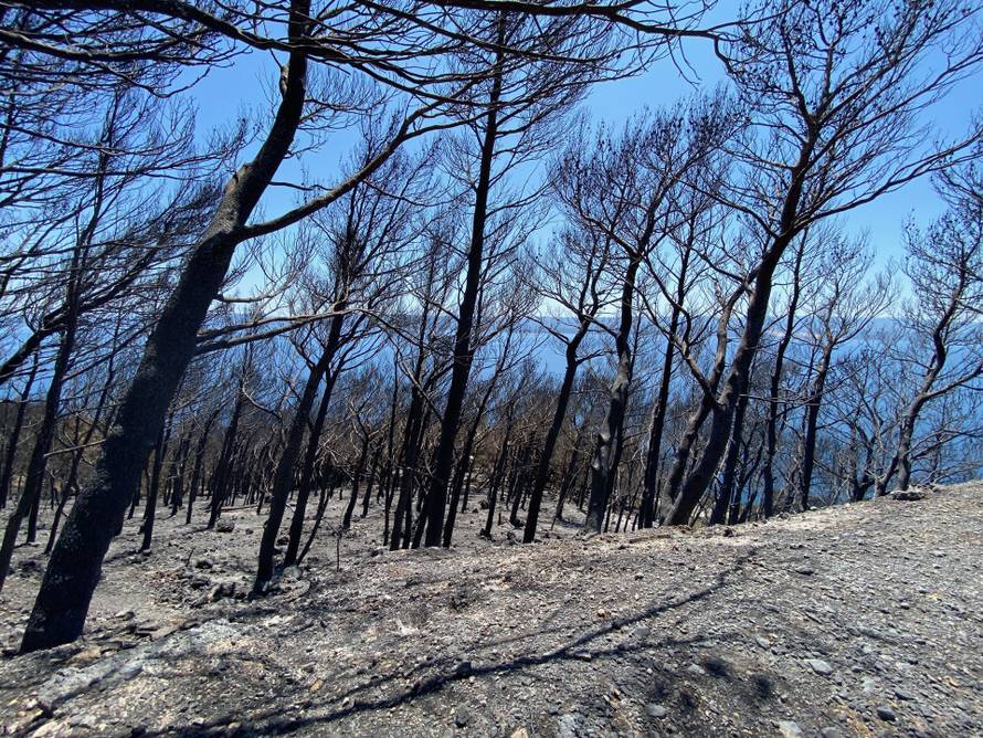 Estonac iz Mimica: 'Od izbijanja požara nemam ni struje ni vode. Krov mi je u potpunosti izgorio'