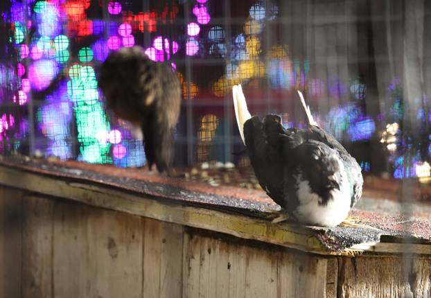 Božićno selo u Gornjem Docu