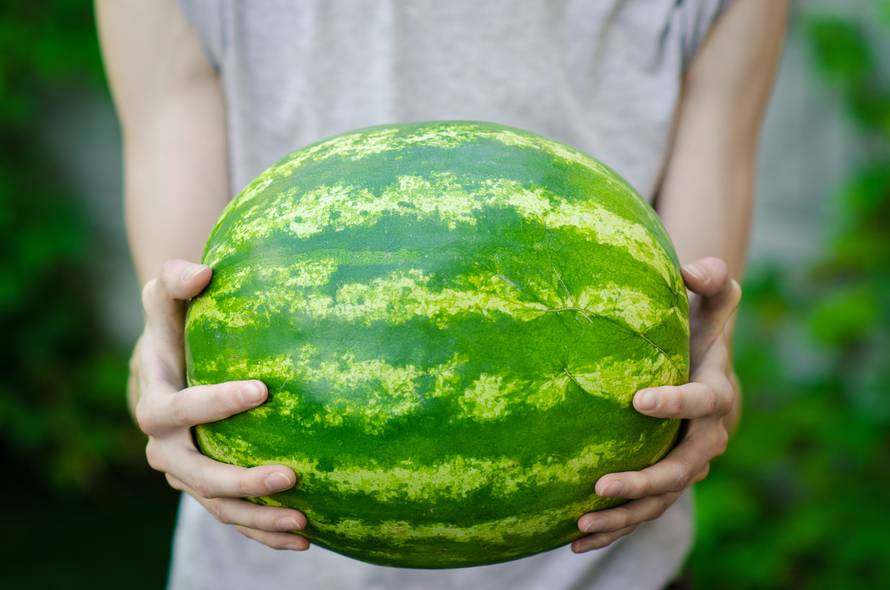 Znate li izabrati pravu lubenicu ili ne? Evo što sve provjeriti...