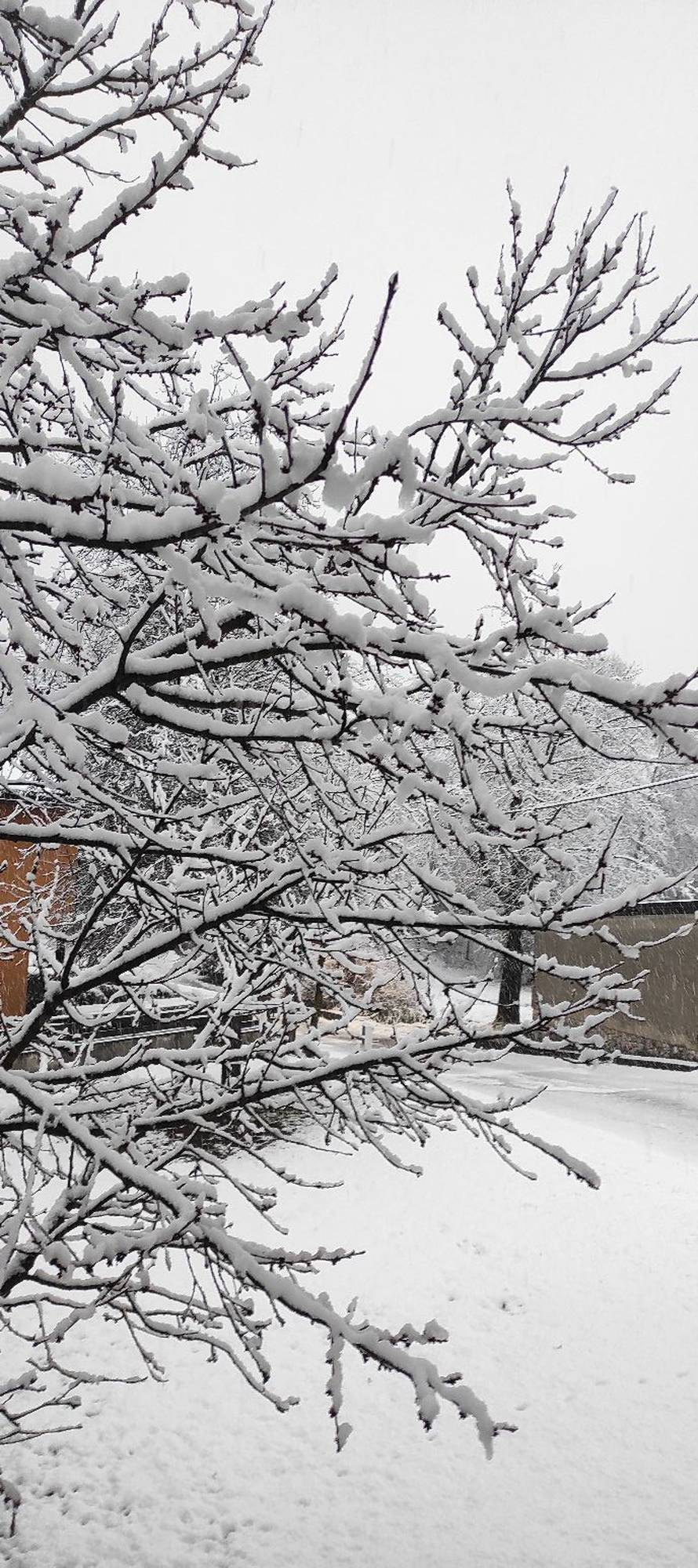 VIDEO Snježni kaos na A1: Kamion se prevrnuo  kod  Ogulina. Prekinut promet