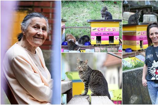 Hrabroj baki Ani ulične mace u Zagrebu duguju život: 'Govorili su da sam luda, ali ja ih volim'