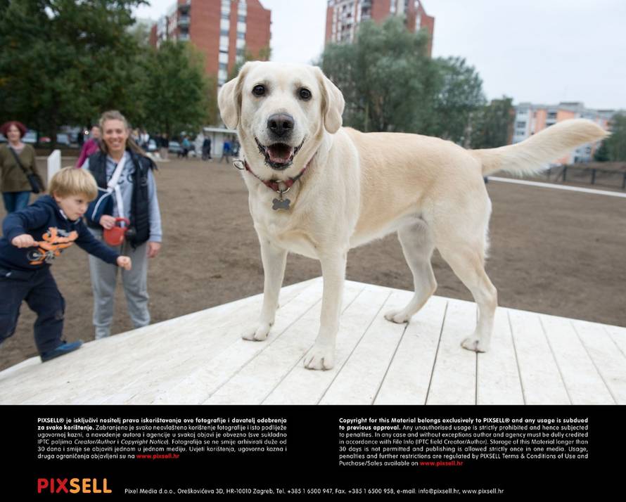 Davor Višnjić/Pixsell