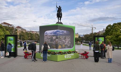 Dok Hrvatska divlja u centru Zagreba, samoborska gromotulja izumire