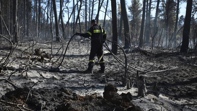 Požari i dalje haraju Grčkom