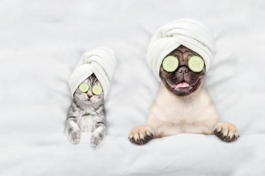 Mislite da pretjerujete kad je riječ o vašem psiću ili maci? Pogledajte ove lude primjere!