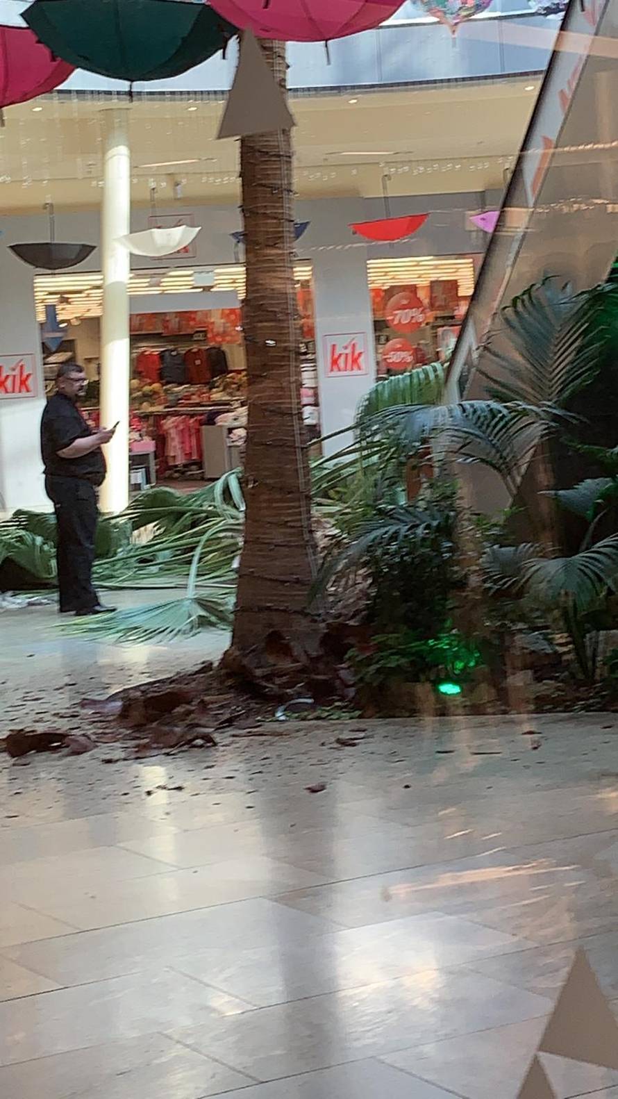 Palma tresnula u Westgateu: 'Užas, mogla je pasti na ljude'