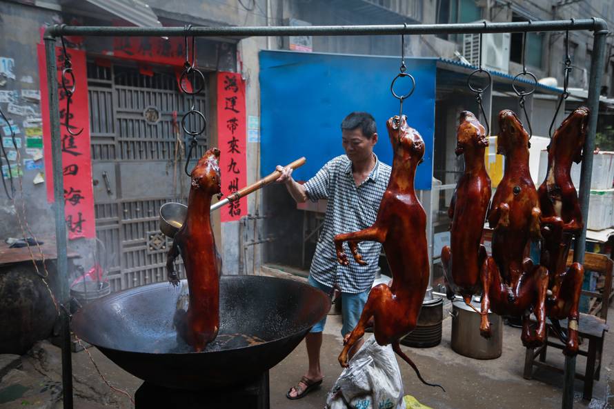 10.000 pasa i mačaka čeka da ih se zakolje i servira na stol