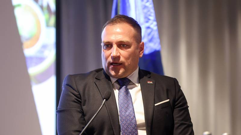 Zasegli nalog za aretacijo glavnega državnega inšpektorja Andrije Mikulića, vlada ga je takoj razrešila