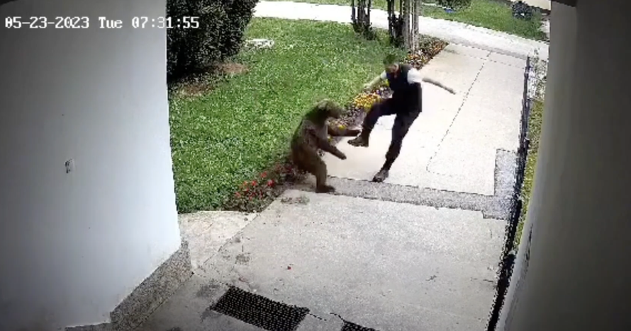 VIDEO Medvjed napao zaštitara u BiH, evo kako se obranio