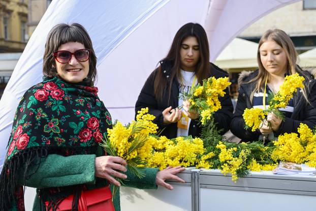 Zagreb: 19. Dan mimoza obilježen na Cvjetnom trgu