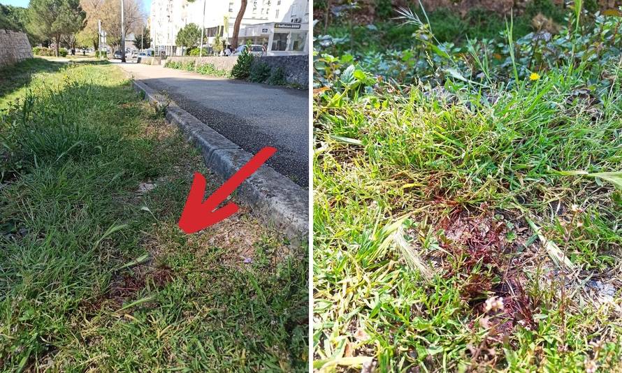 Strašno! Snimku kako mlate  dječaka šeraju na TikToku?! Liječnik: Teško je ozlijeđen