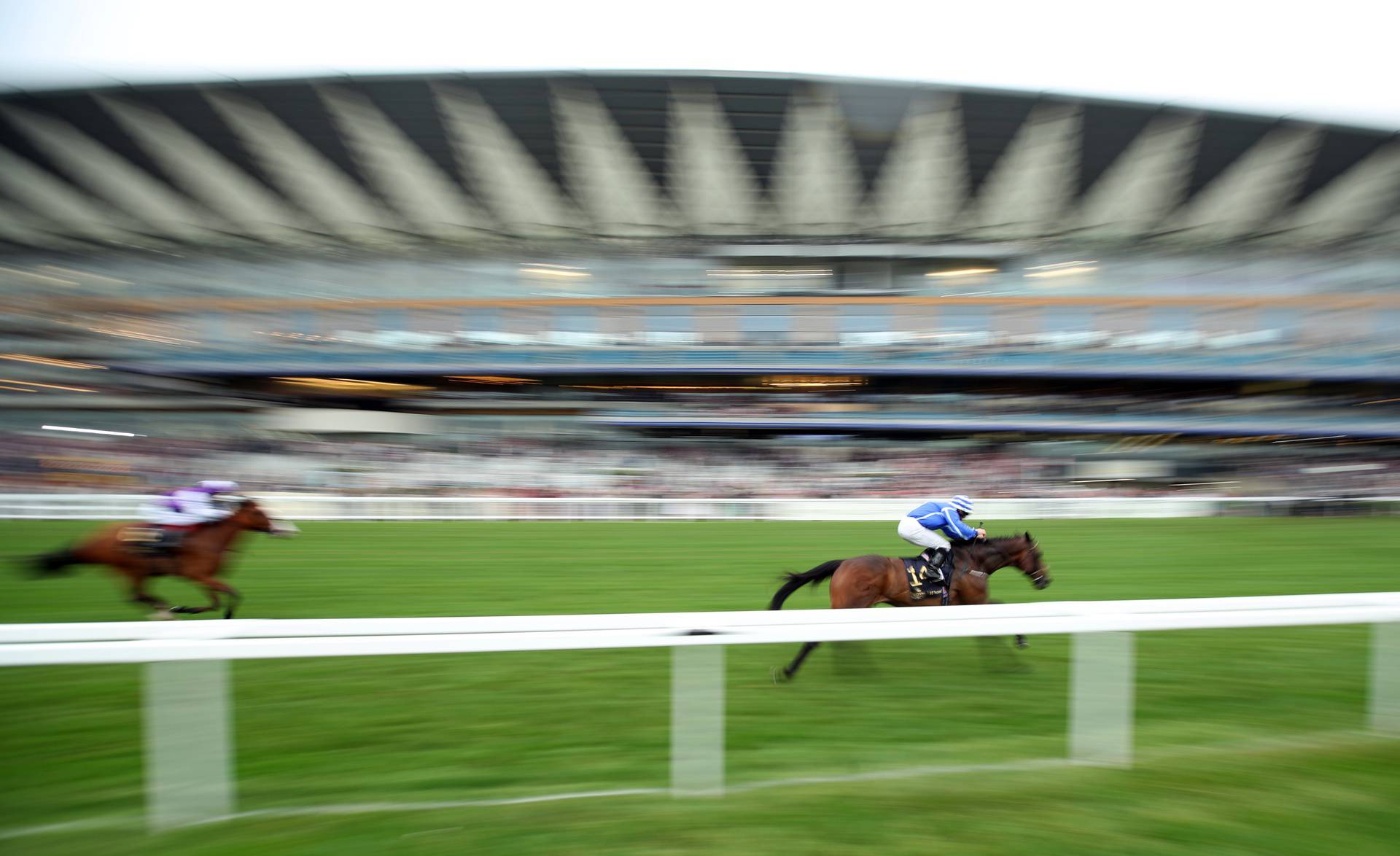 Kraljica Elizabeta  se vratila na  Royal Ascot:  'Ona ima tu magiju u sebi kakvu nema nitko drugi'