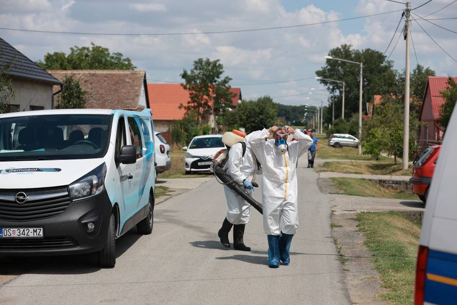 Jagodnjak: Započela je eutanazija životinja zaraženih svinjskom kugom