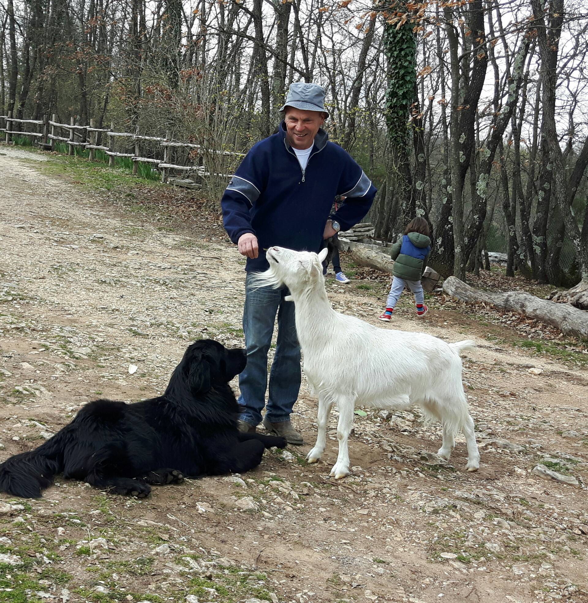 Ljubav je na selu: Pas Medo i koza Đurđa  su najbolji prijatelji