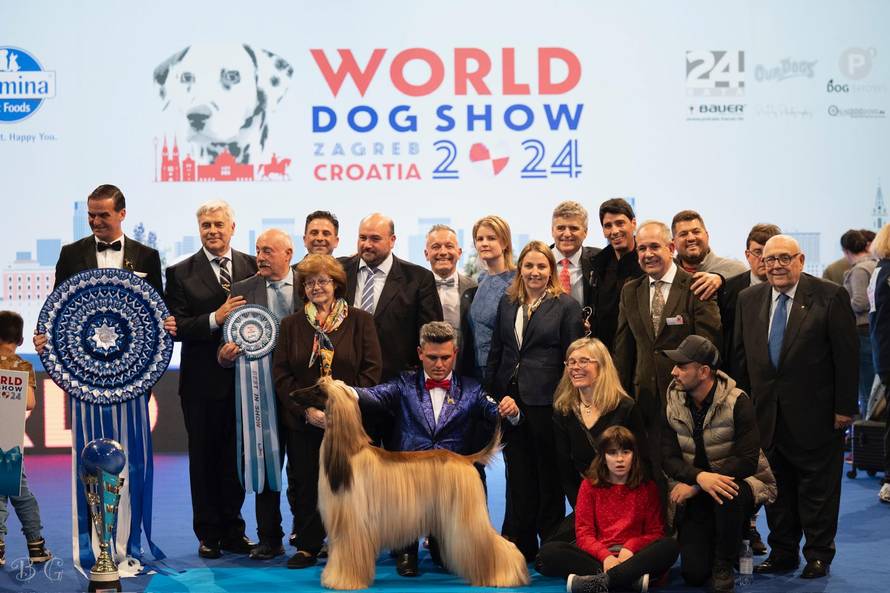 Kaja je dijete-anđeo, ali ima i svoje anđele čuvare s kojima osvaja srca na izložbama pasa!