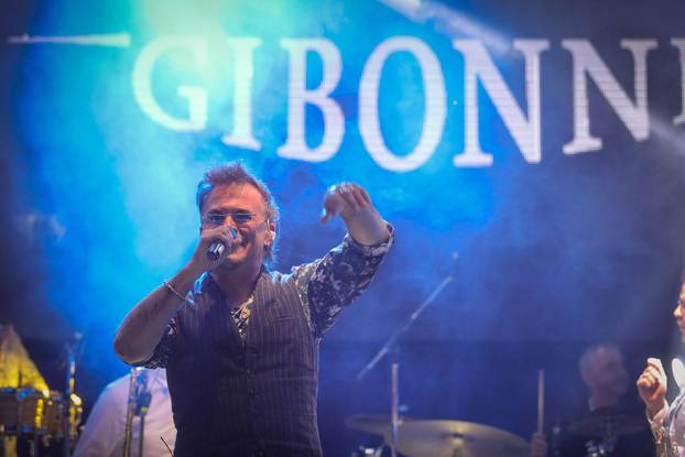 Vukovar: Gibonni održao koncert na festivalu "Svi zaJedno Hrvatsko Naj"